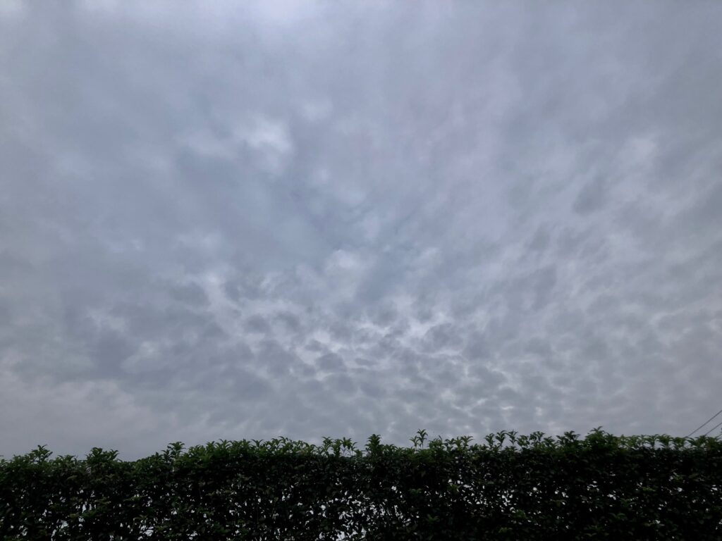 Stratocumulus