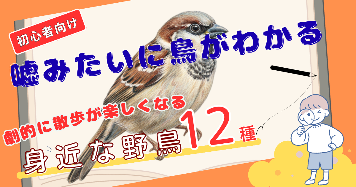 familiar-birds-guide