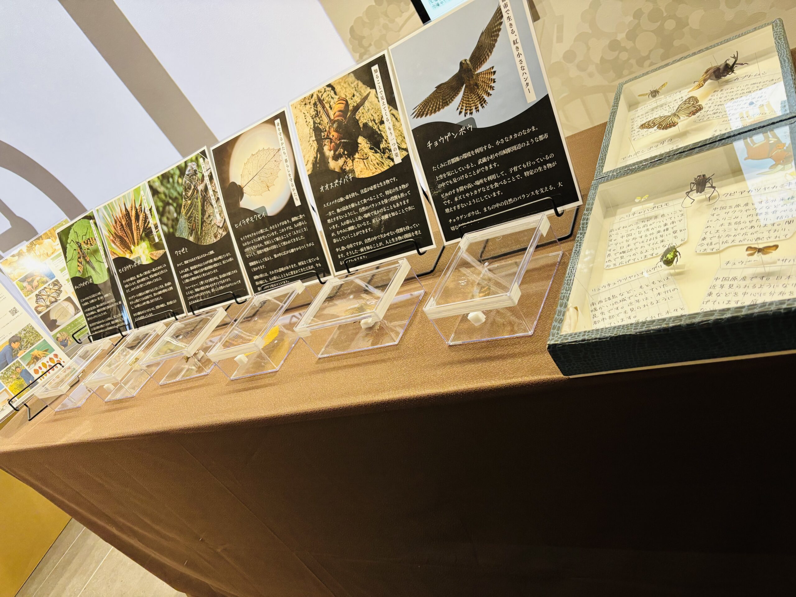 biodiversity_kawasaki1